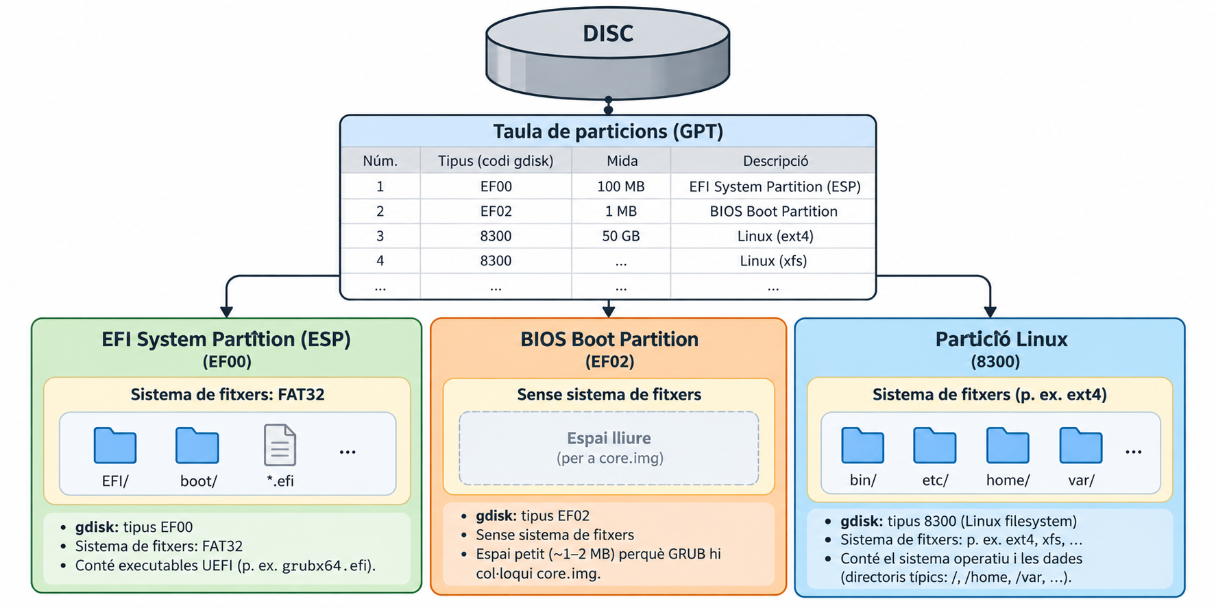 Un disc amb taula de particions GPT: partició 1, codi gdisk EF00, 100 MB, EFI System Partition; partició 2, codi EF02, 1 MB, BIOS Boot Partition; particions 3 i 4, codi 8300, Linux ext4 i Linux xfs. A sota, tres caixes: l'ESP amb sistema de fitxers FAT32 i executables UEFI com grubx64.efi; la BIOS Boot Partition sense sistema de fitxers, amb espai lliure per a core.img; la partició Linux amb sistema de fitxers ext4/xfs i el sistema operatiu.