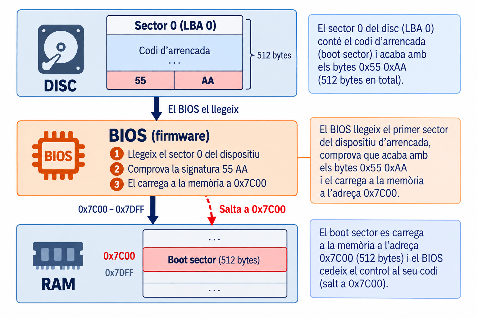 Esquema: el BIOS llegeix el sector 0 del disc (LBA 0, 512 bytes, acabat en els bytes 55 i AA), en comprova la signatura, el carrega a la RAM a l'adreça 0x7C00 com a boot sector i hi salta (fletxa discontínua).